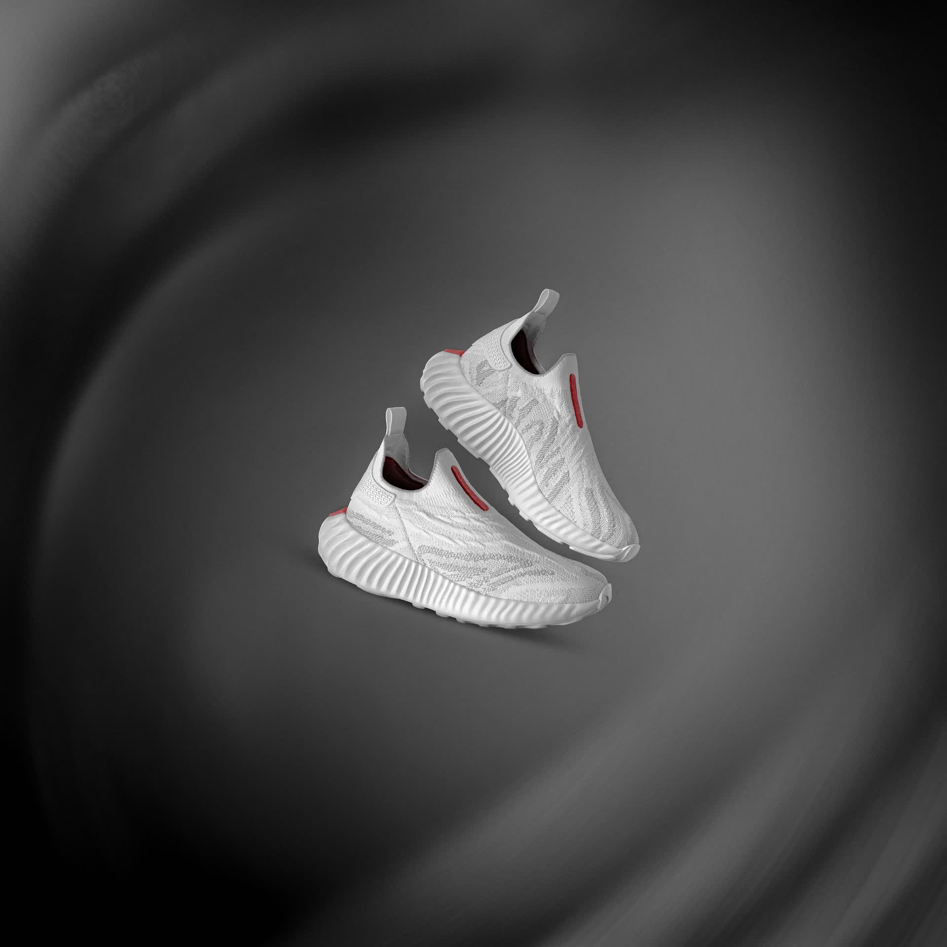 Fiber Concept — imagen 04